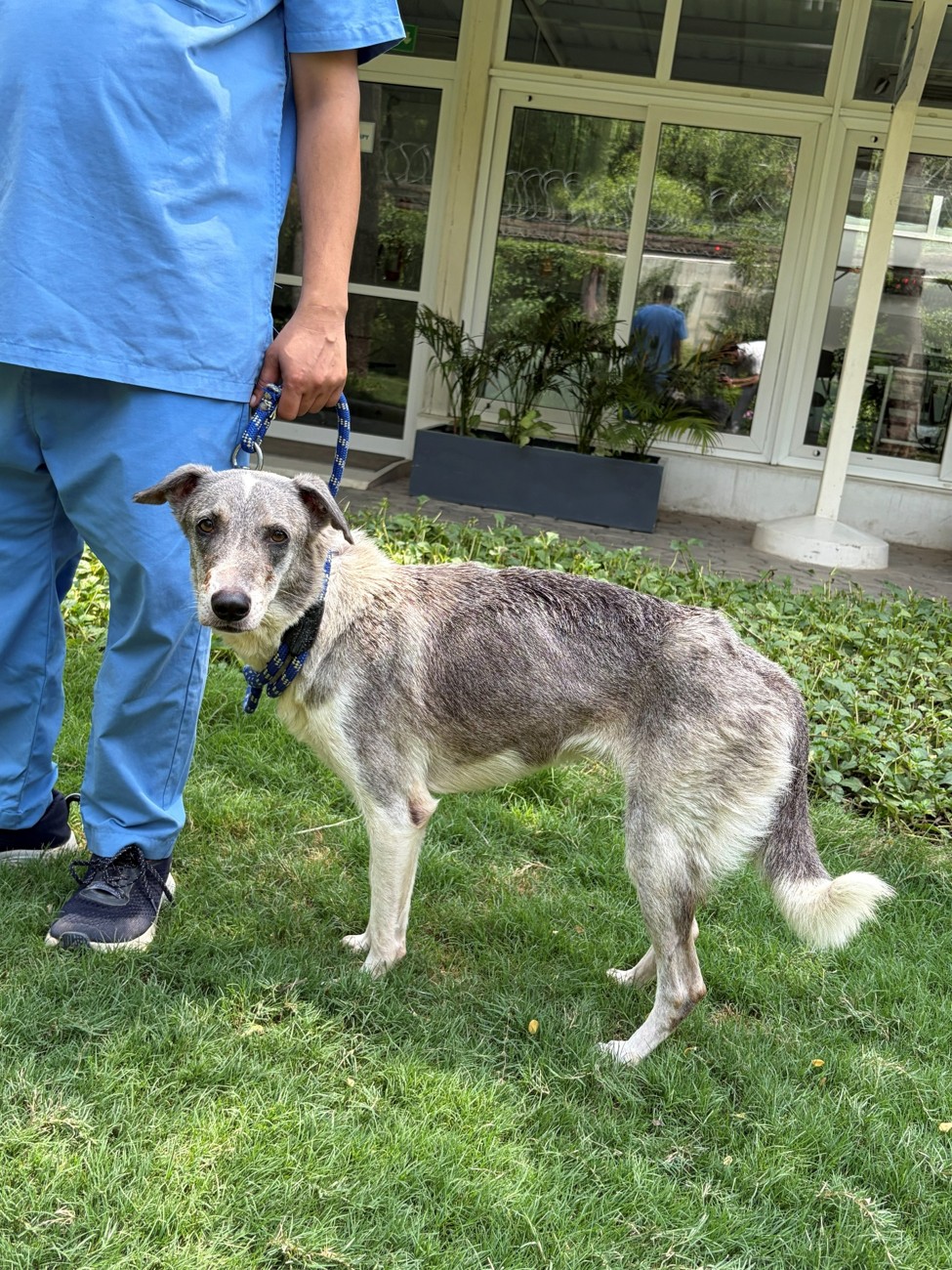 Against the Odds, She Walked Again